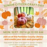 Pontotoc County Library Senior Citizen Craft Day. Monday, September 28 at 10:00 AM. Join us at the Pontotoc County Library and create your own sock pumpkin! The event is free and open to senior citizens. Lunch and supplies are provided, but spaces are limited! Call 662-489-3960 or stop by the Pontotoc County Library to sign up & reserve your spot!